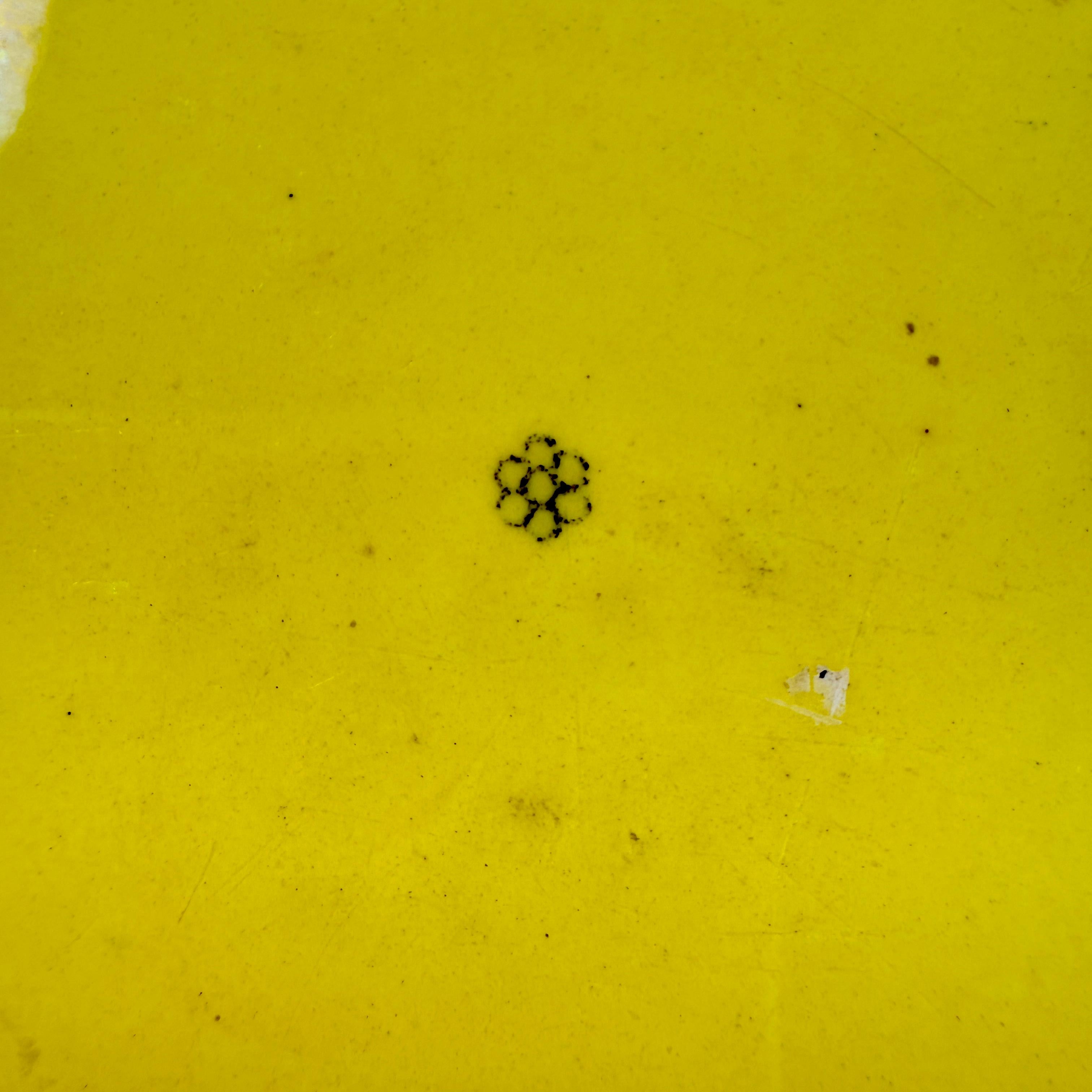 Creil et Montereau Vaisselle à transfert jaune canari Assiettes Famille avec chien fleuri, set en vente 7