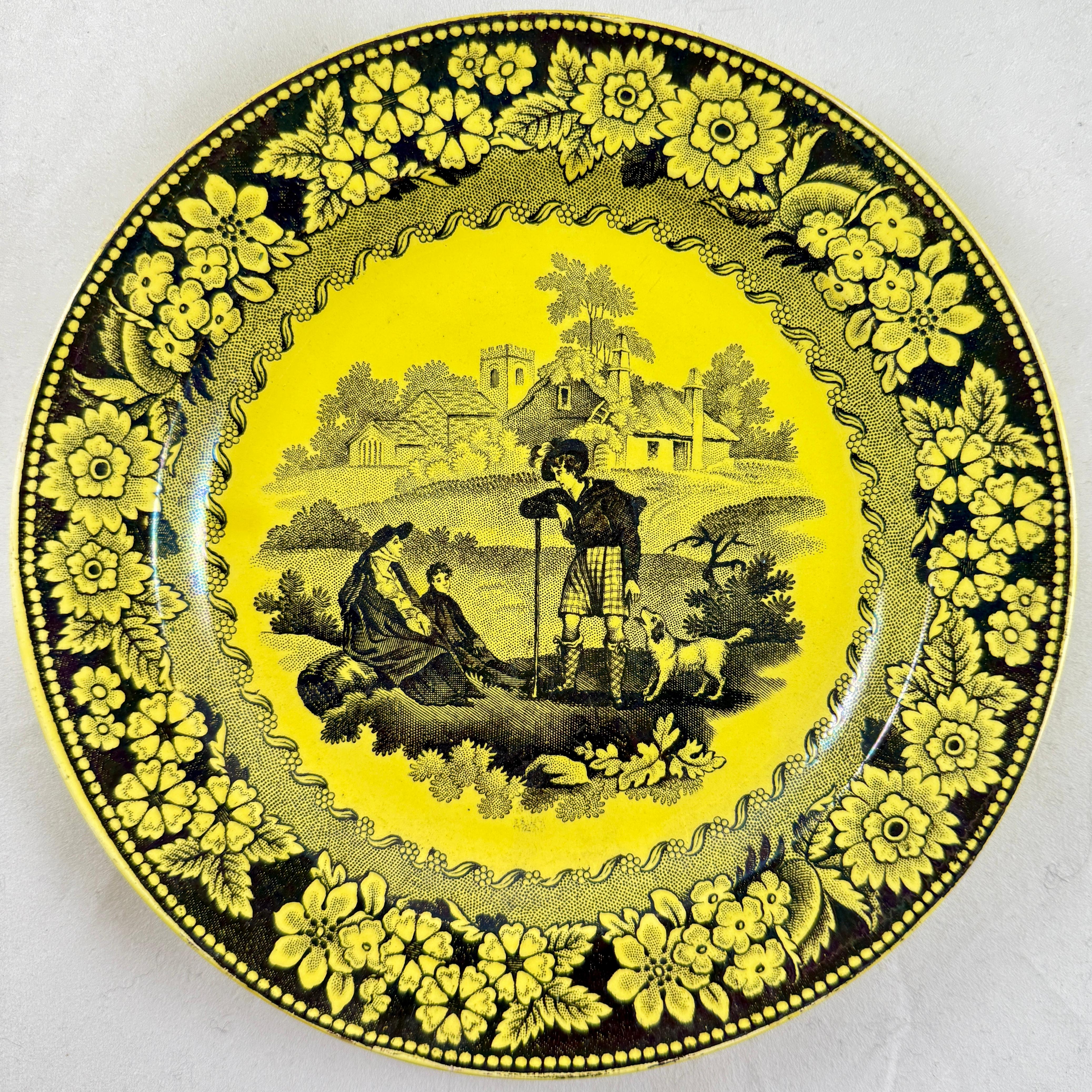 Provincial français Creil et Montereau Vaisselle à transfert jaune canari Assiettes Famille avec chien fleuri, set en vente