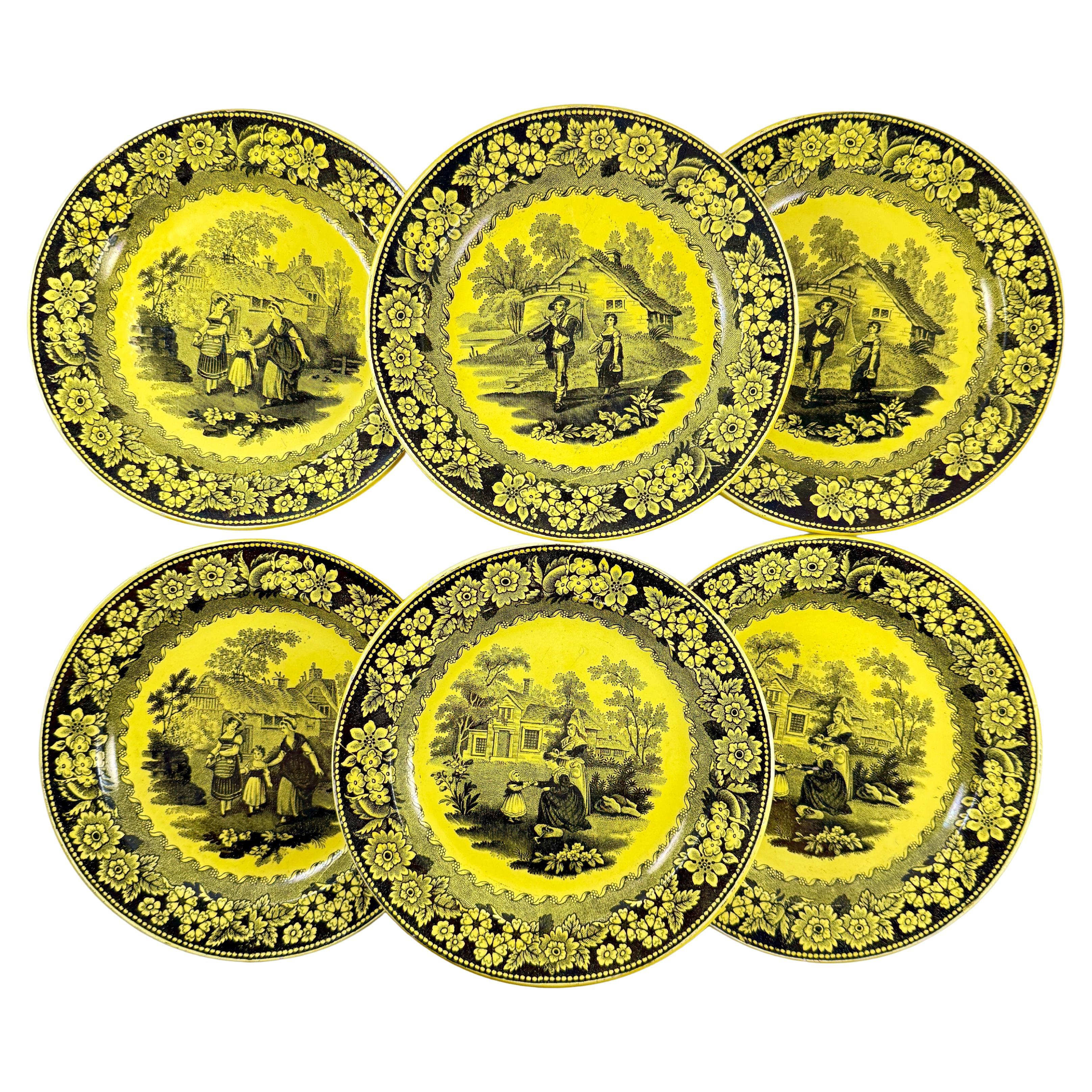 Creil et Montereau Vaisselle à transfert jaune canari Assiettes à décor floral, set/6