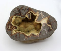 Cretaceous Period Calcite Septarian Nodule on Custom Stand