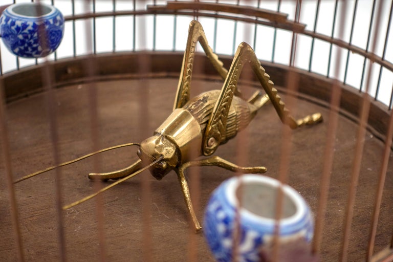 Cricket Cage with Brass Cricket and a Taxidermy Budgie at 1stDibs