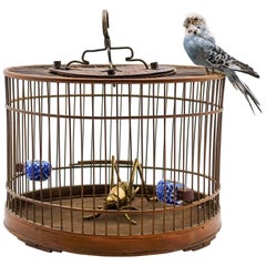 Vintage Cricket Cage with Brass Cricket and a Taxidermy Budgie