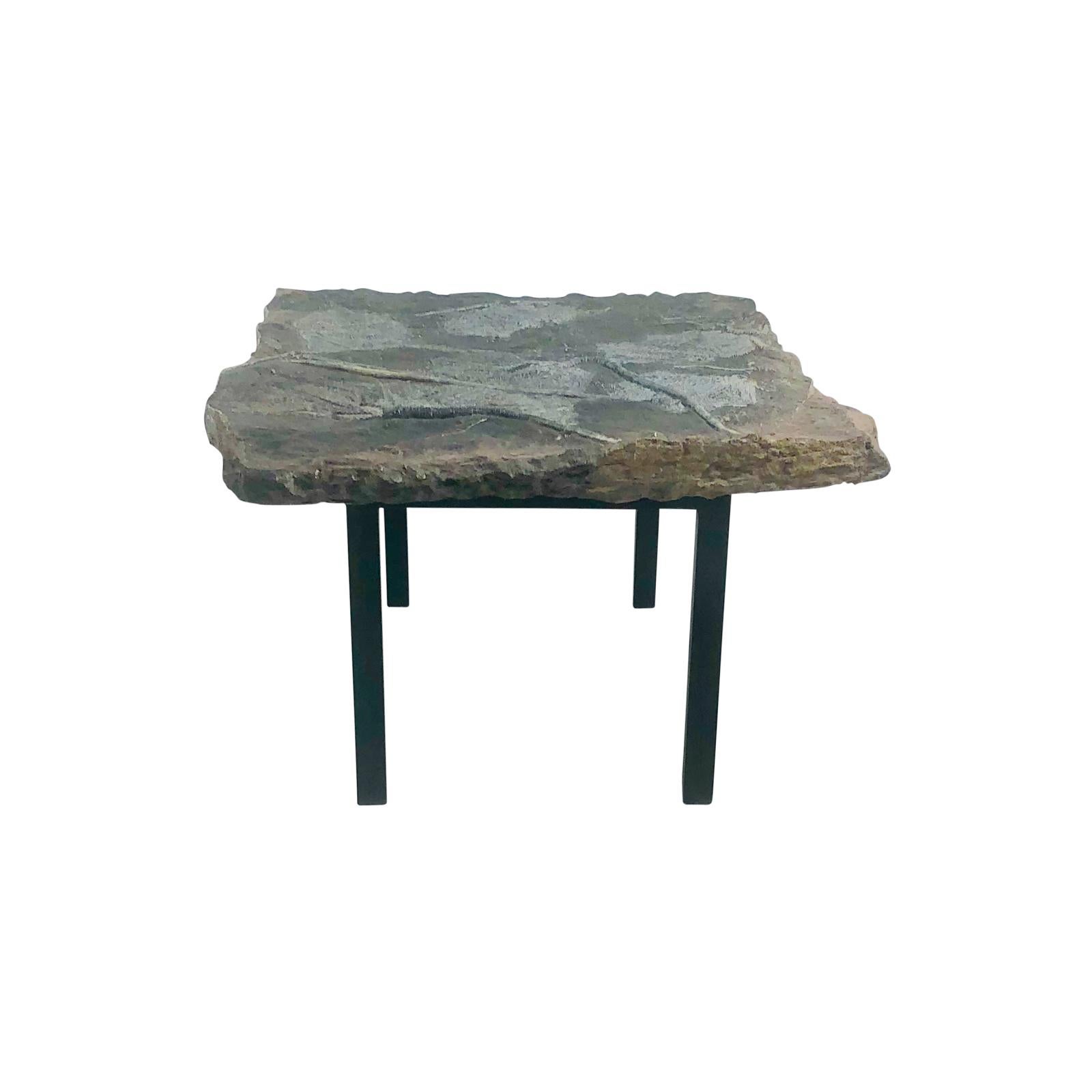 A rare crinoid fossils from 330 million years ago, on a later custom steel stand.