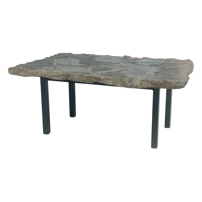 Crinoid Fossil Coffee Table at 1stDibs