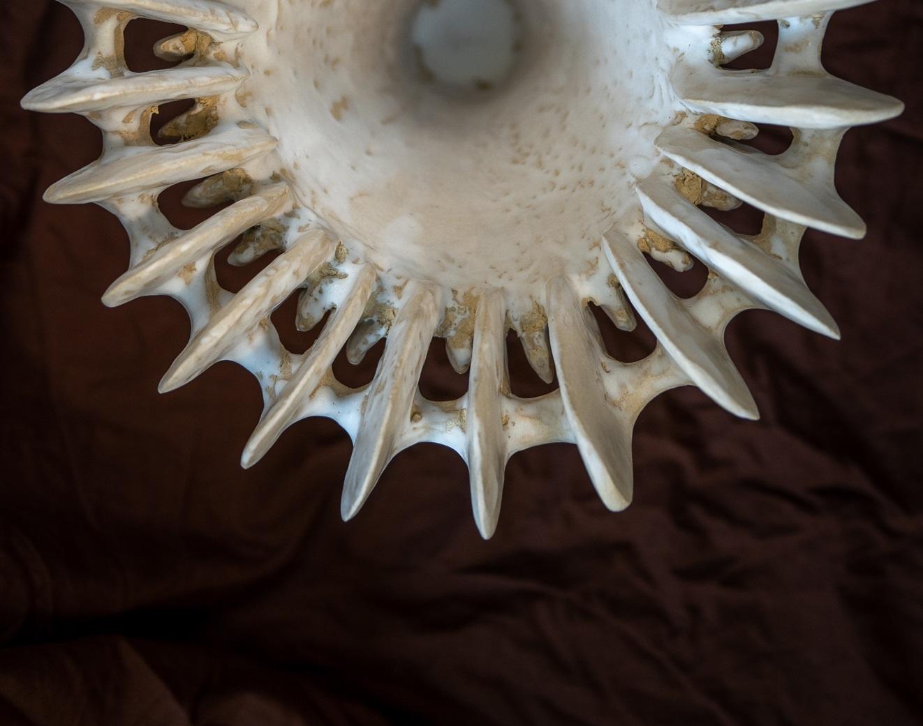 XXI secolo e contemporaneo Vaso Crinoide in gres con smaltatura bianca opaca di Kallia Panopoulou in vendita