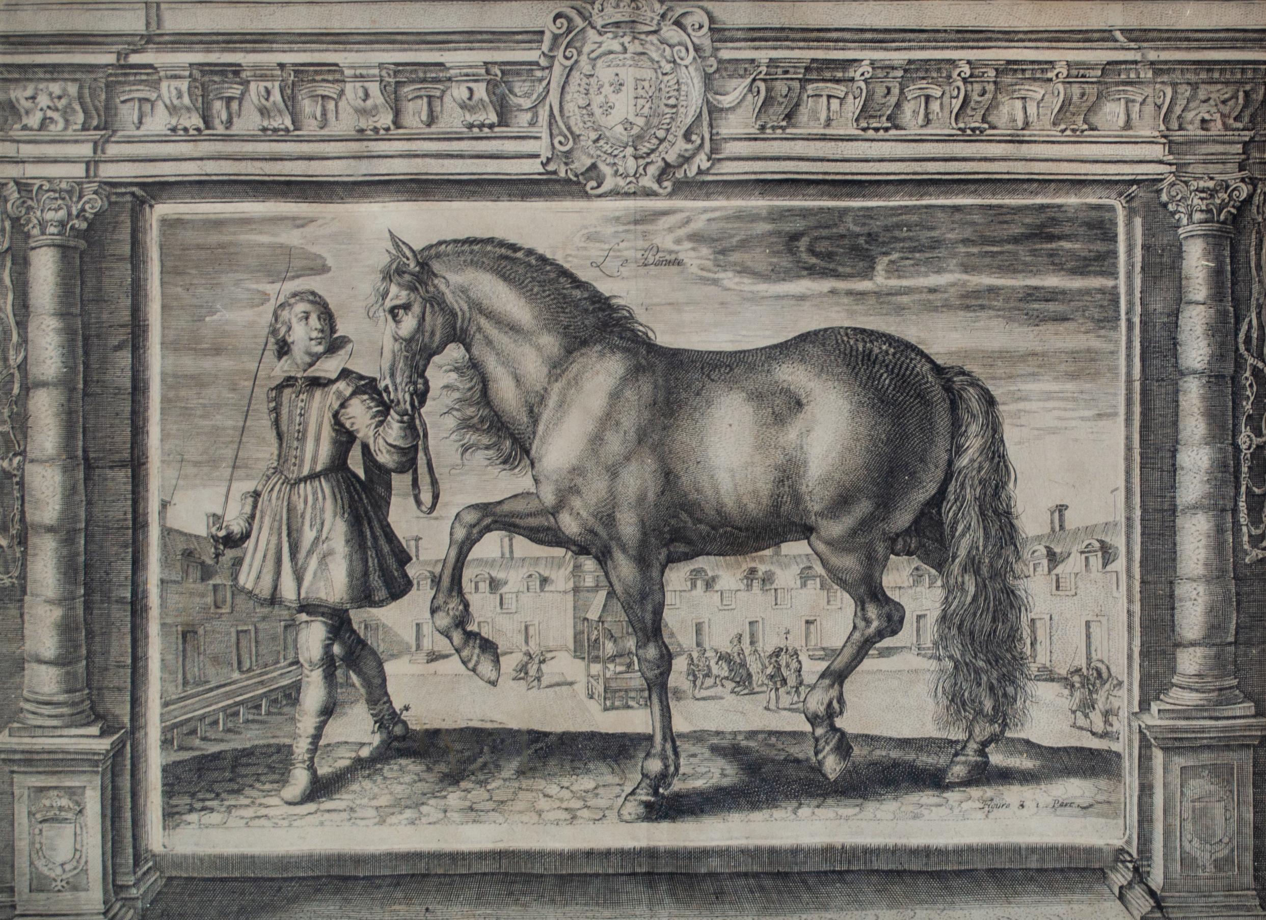 Figurative Print Crispin de Passe II - Gravure du maître royal Stallion d'un ancien maître par Crispin de Passe