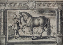 Vintage Old Master Royal Stallion Engraving by Crispin de Passe