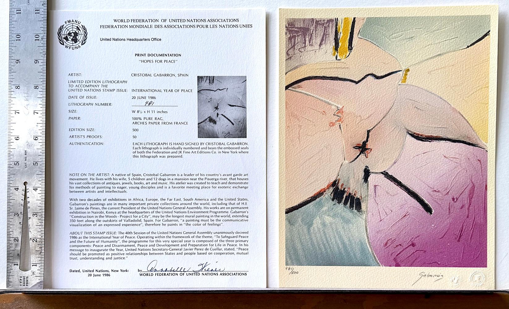 SPERANZA PER LA PACE Litografia firmata Colomba astratta, colori ad aerografo, artista spagnolo in vendita 4