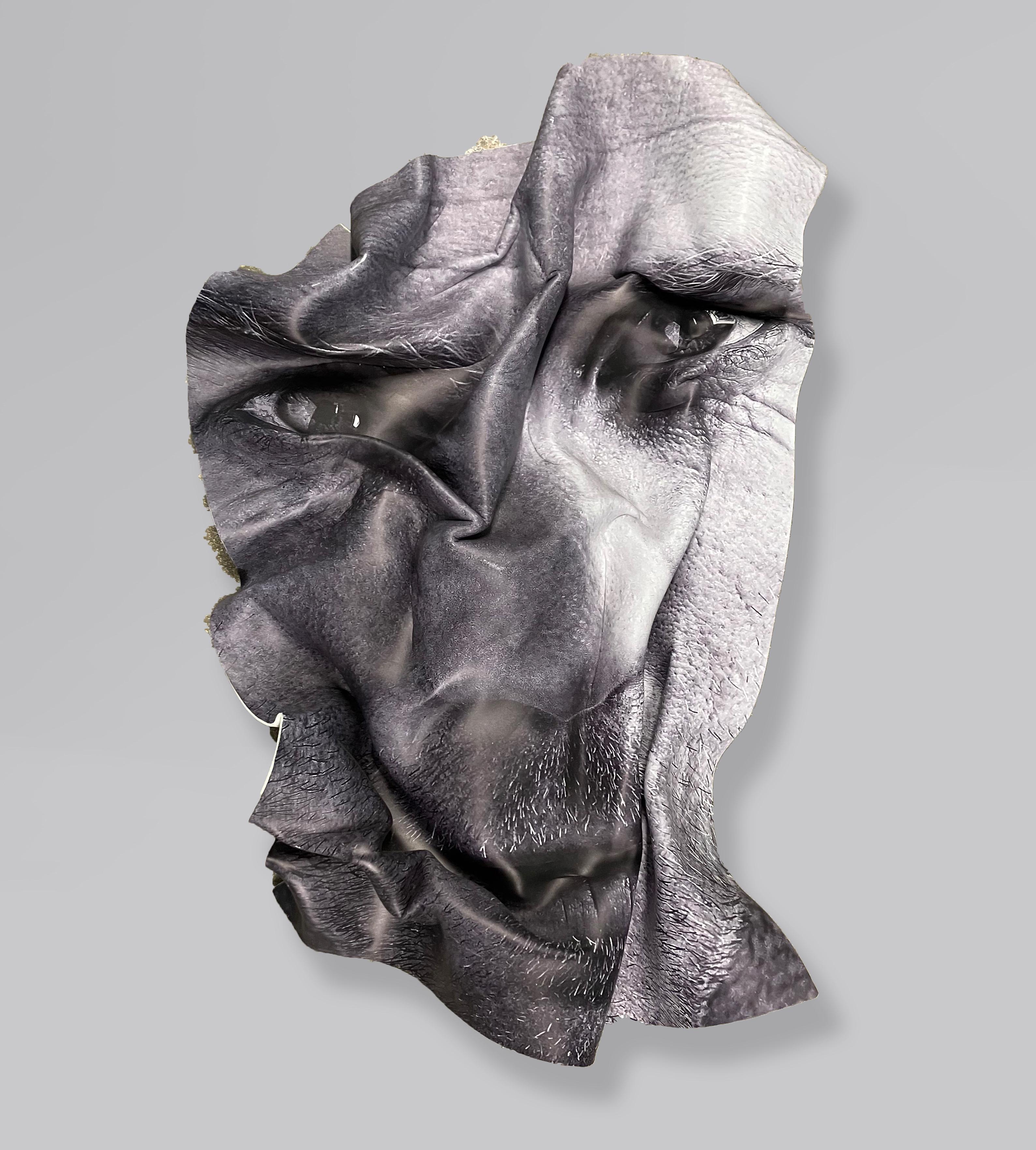Bruno Mars, Untitled 1 and Jennifer Lopez, Tridimensional Wall sculptures - Gray Figurative Sculpture by Cristian Hunter