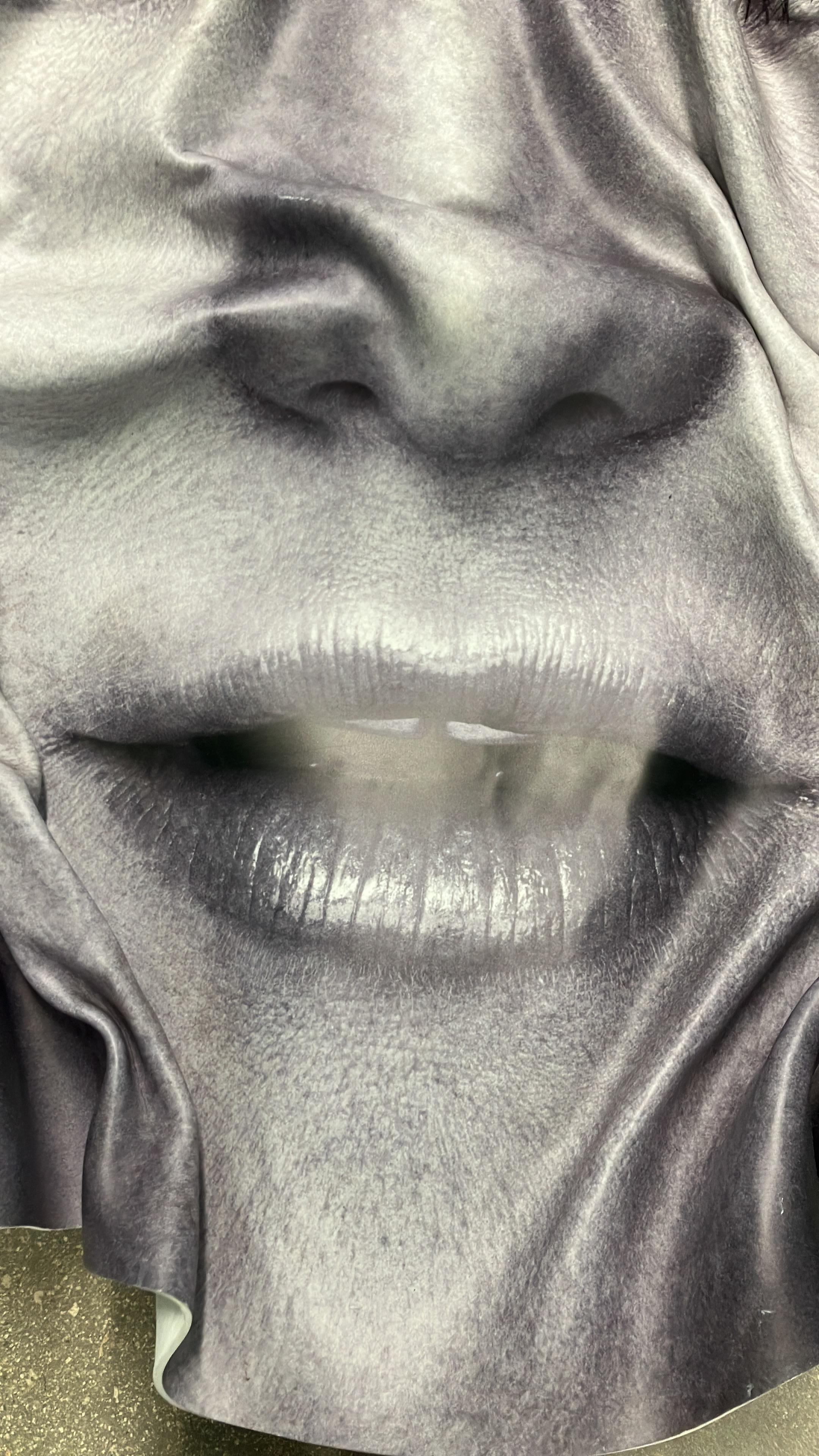 This artwork was created by the artistic duo Hunter & Gatti (2010–2023). These works are part of the archive managed and exhibited by Cristian Hunter.
The artist's technique consists of the use of two prints, the first print is the original