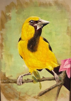 The Cuban Finch,  oil painting, Impressionism, Cuban Artist, Bird Painting