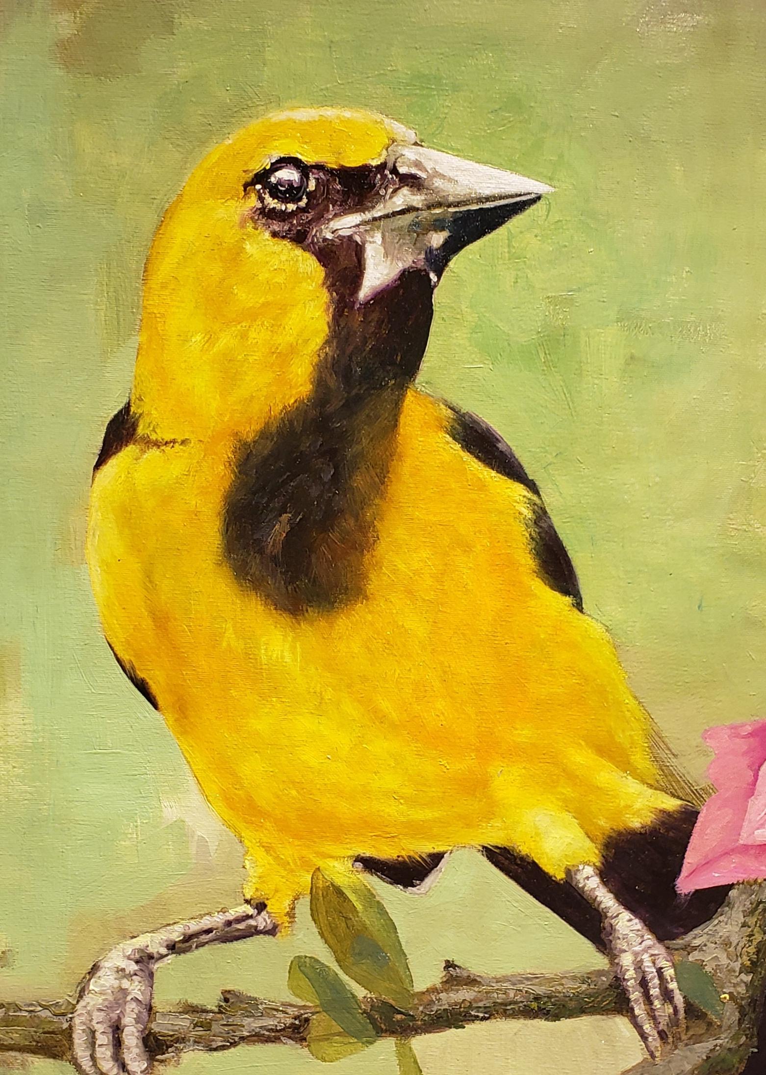 The Cuban Finch,  oil painting, Impressionism, Cuban Artist, Bird Painting - Beige Animal Painting by Cristian Mesa Velazquez