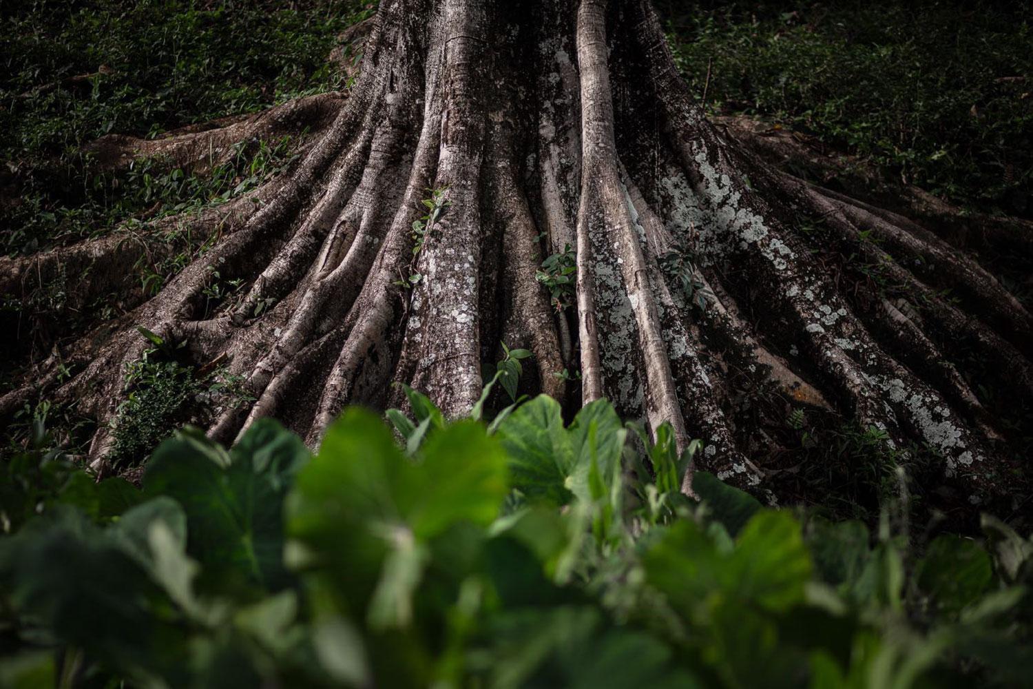 No Title Landscape Photography by Cristiano Xavier