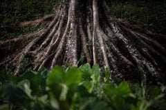 Kein Titel  Landschaftsfotografie von Cristiano Xavier