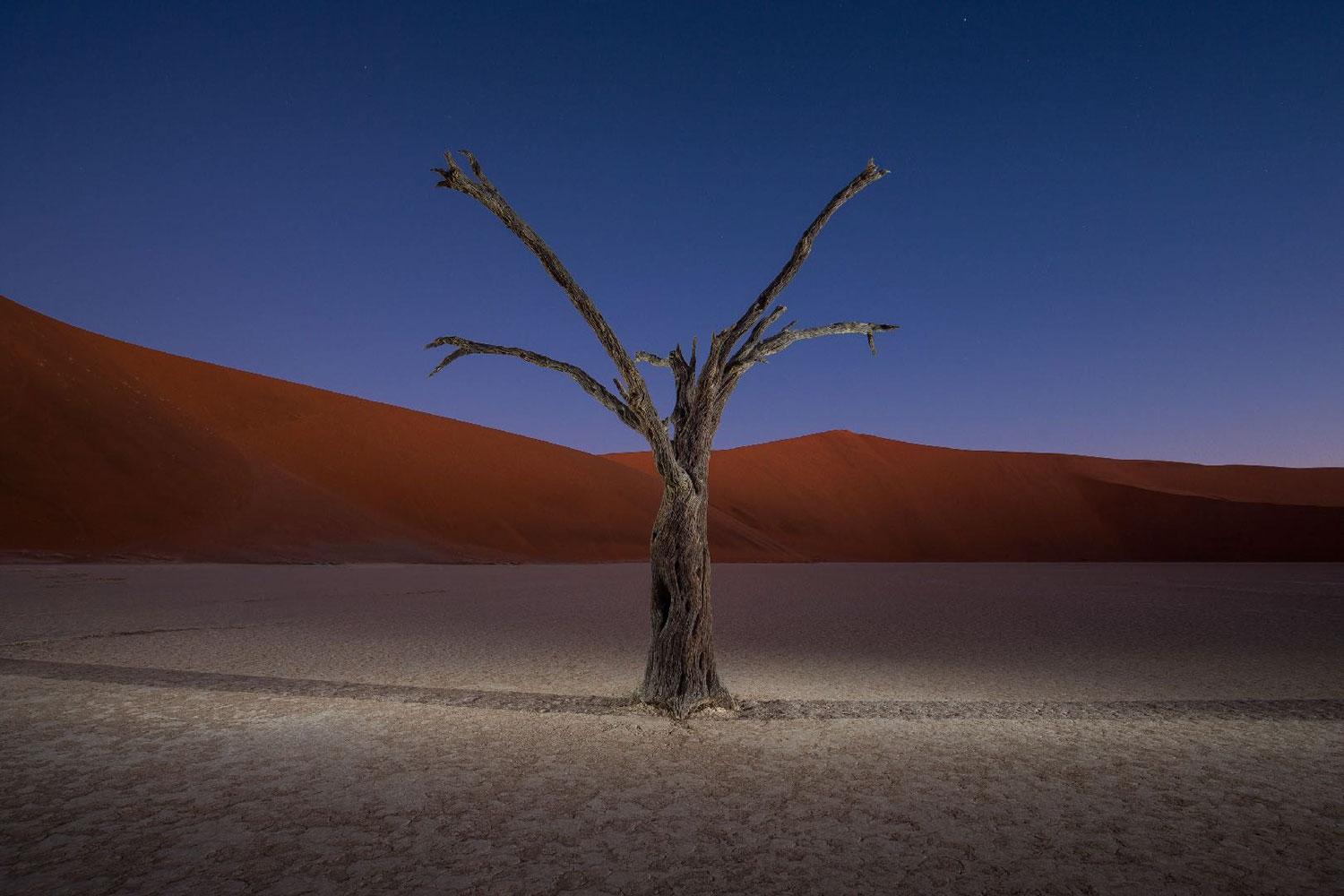 Archival Pigment Print
Mounted and Framed
Museum Standards

Available sizes:
40 x 60 inches edition of 7
48 x 72 inches edition of 7


