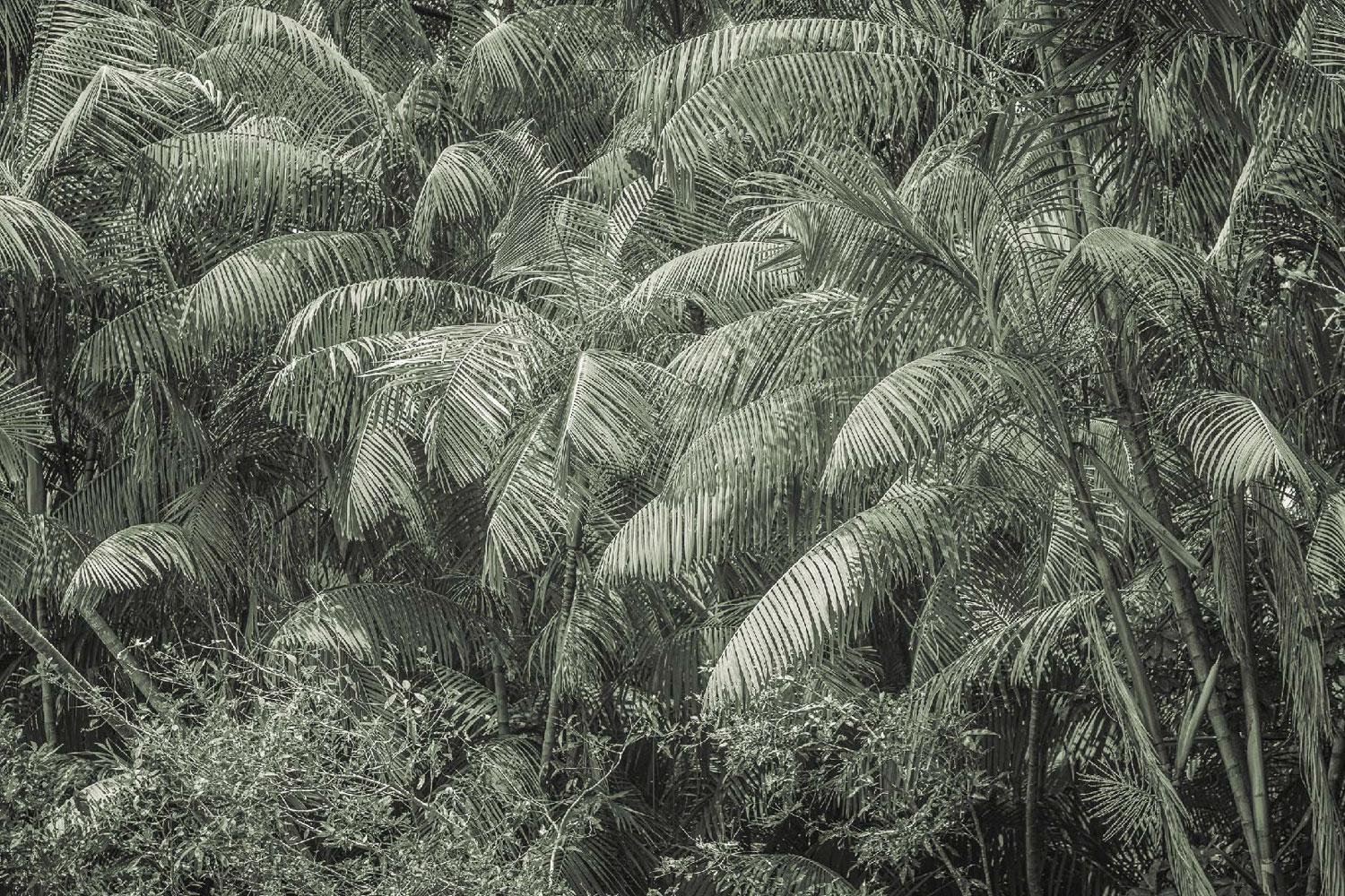 No Title Landscape Photography by Cristiano Xavier