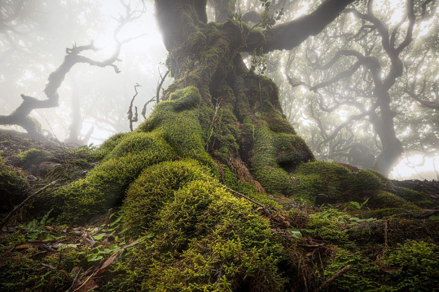 No Title Landscape Photography by Cristiano Xavier