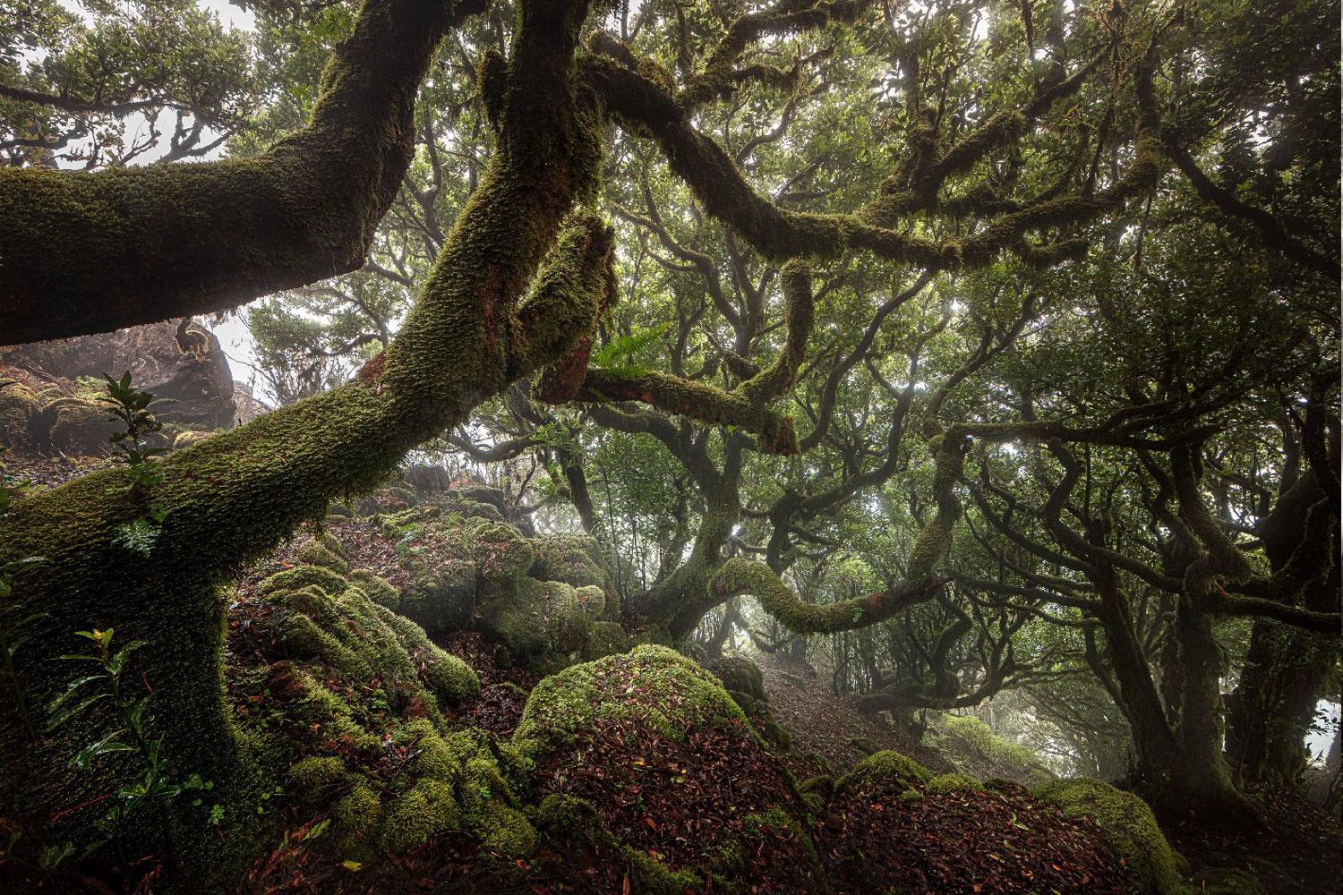 Sans titre Photographie de paysage par Cristiano Xavier