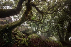 Kein Titel  Landschaftsfotografie von Cristiano Xavier