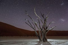 Kein Titel  Landschaftsfotografie von Cristiano Xavier