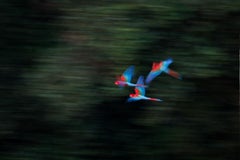 Kein Titel  Landschaftsfotografie von Cristiano Xavier