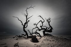 Kein Titel  Landschaftsfotografie von Cristiano Xavier