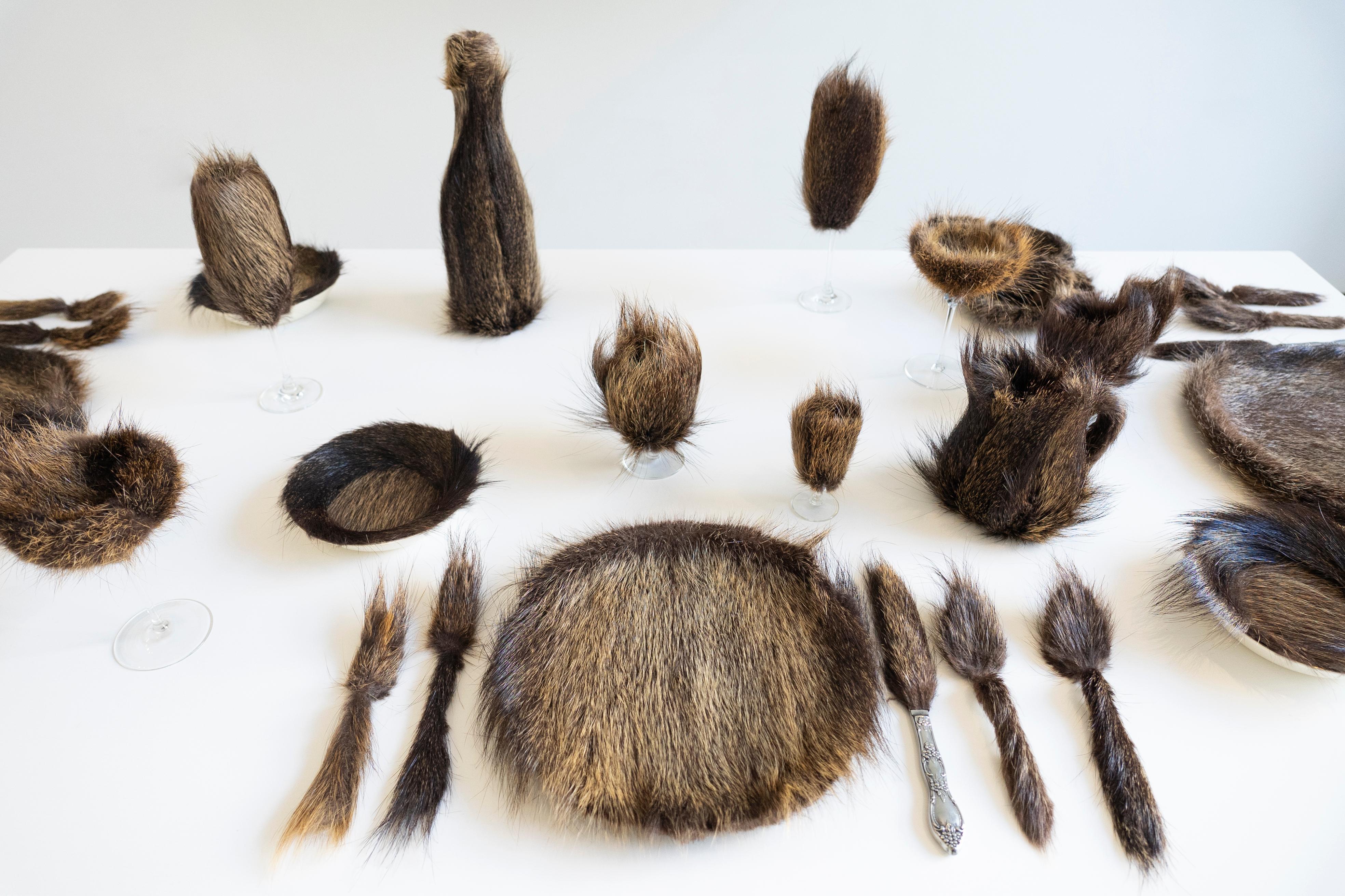Nutria fur and found object