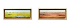 "Doñana en primavera". Contemporaneo, realismo, figurativo, olio, paesaggio