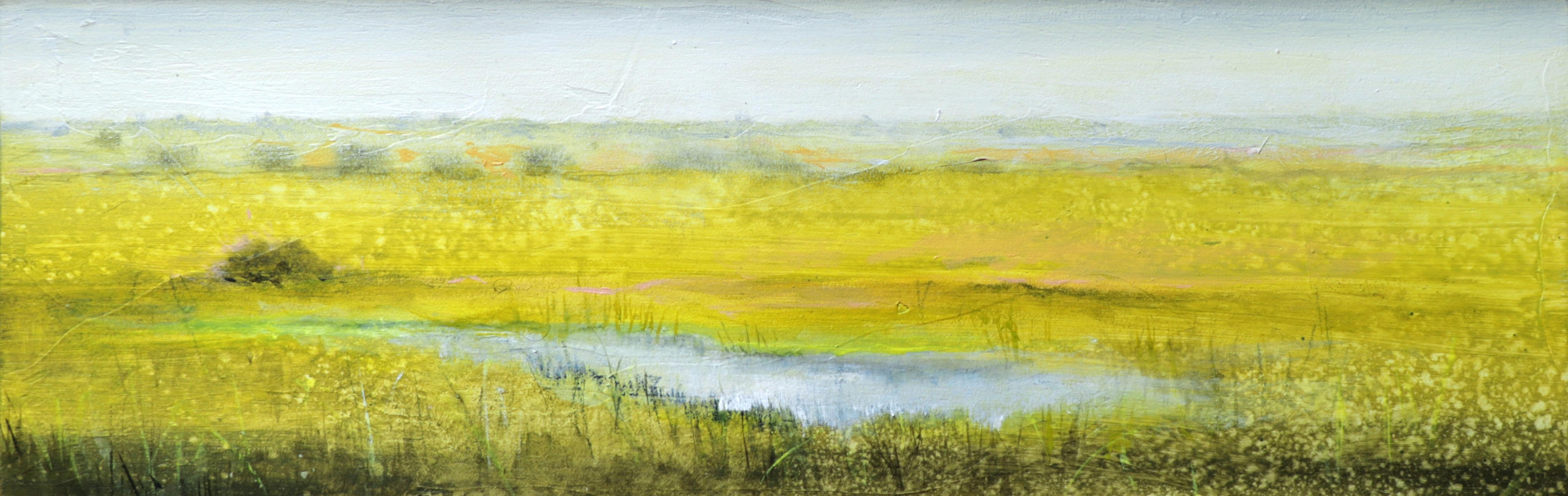"Doñana en primavera". Contemporary, realism, figurative, oil, landscape