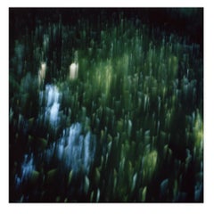 In evidenza - Polaroid, fotografia, infanzia. 21° secolo
