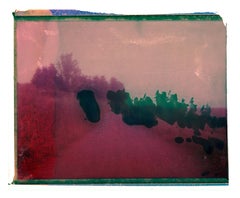Camino Verde Rosa - Contemporáneo, Polaroid, Paisaje