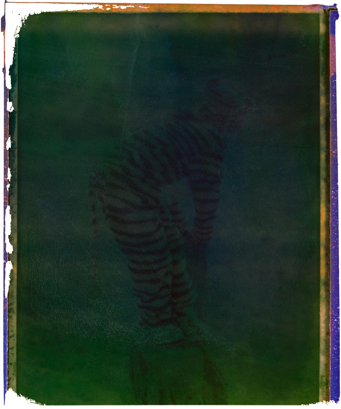 Tigre - Contemporain, Polaroid, Photographie, Époque, enfance, abstrait