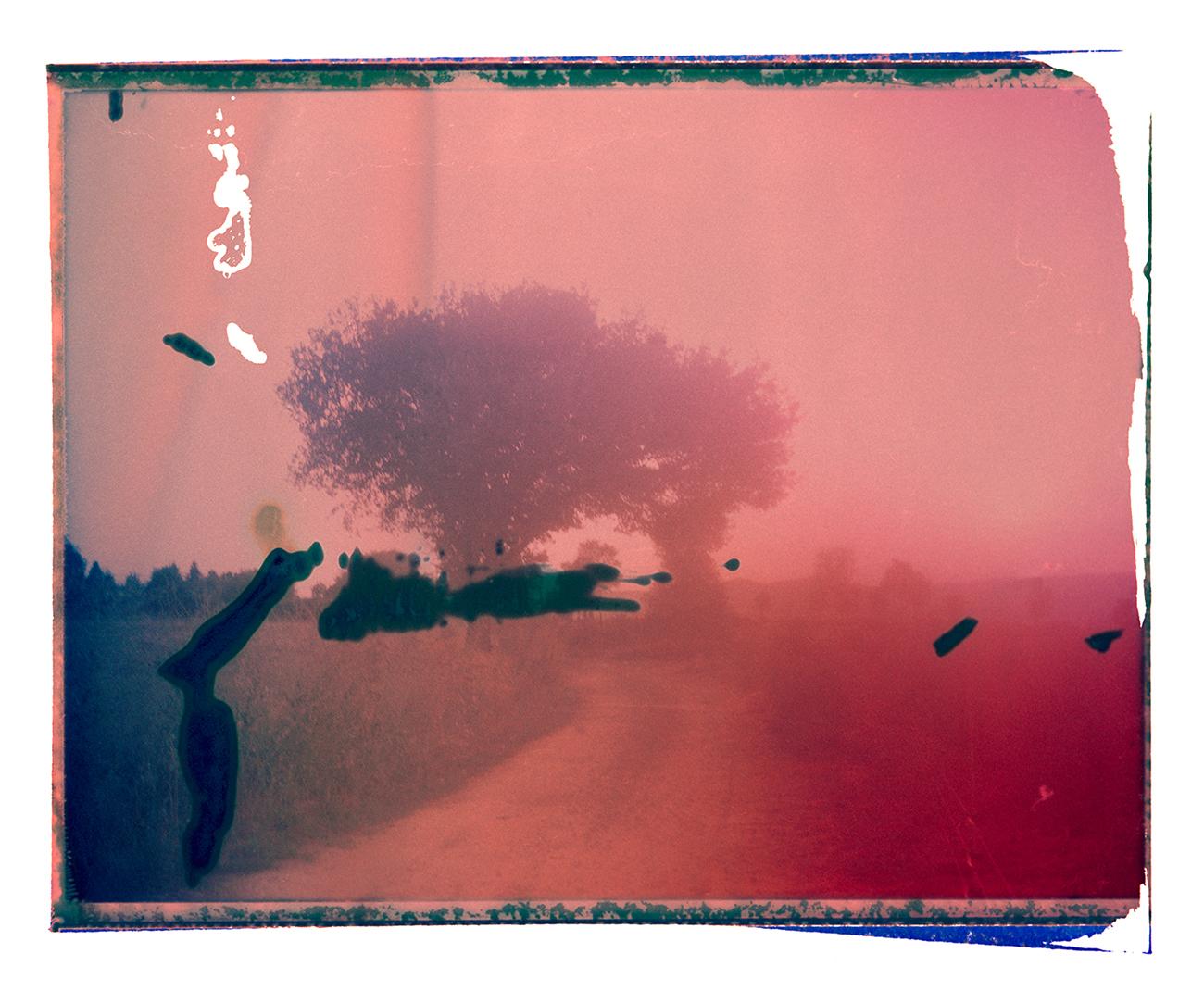 Abstract Photograph de Cristina Fontsare - Walking Around an Oak Tree - Contemporary, Polaroid, Landscape