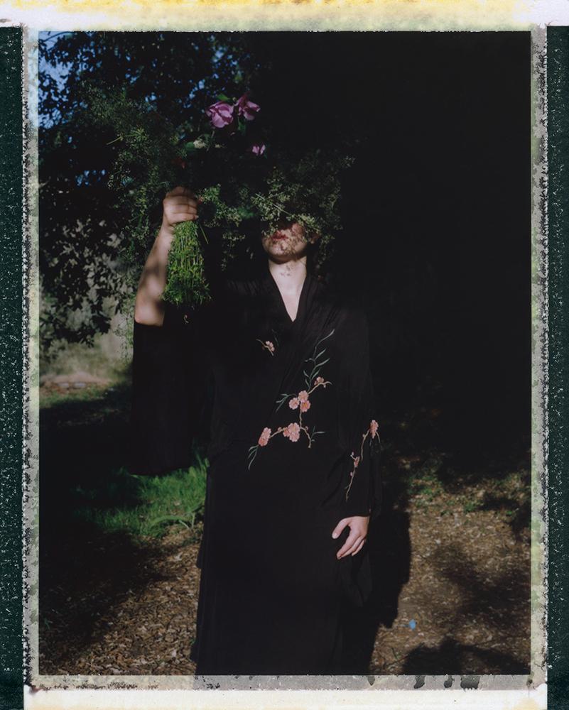 Wild Flowers - Contemporary, Polaroid, Photograph, abstract