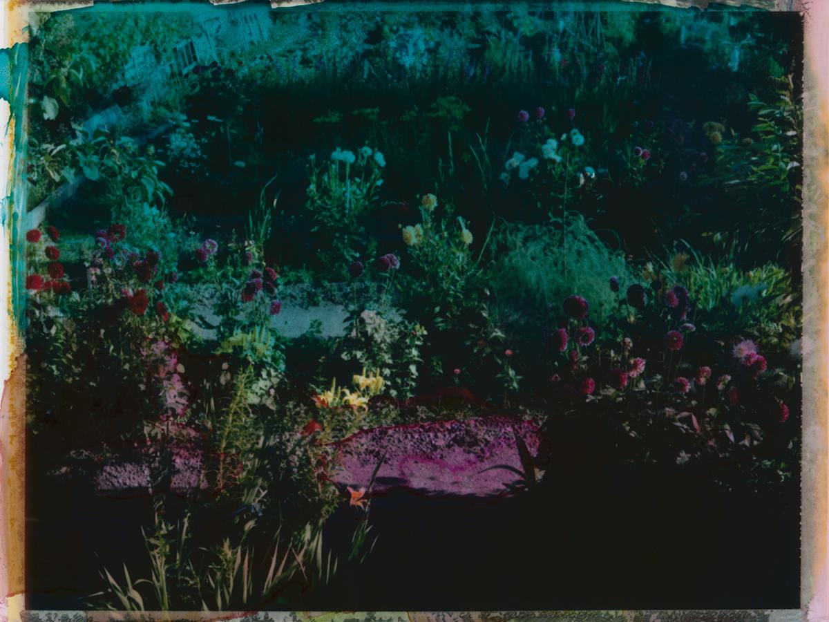 Cortile delle meraviglie I - Polaroid, fotografia, infanzia. 21° secolo