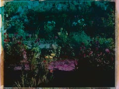 Cortile delle meraviglie I - Polaroid, fotografia, infanzia. 21° secolo