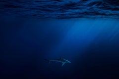 Azul, Cuba by Cristina Mittermeier