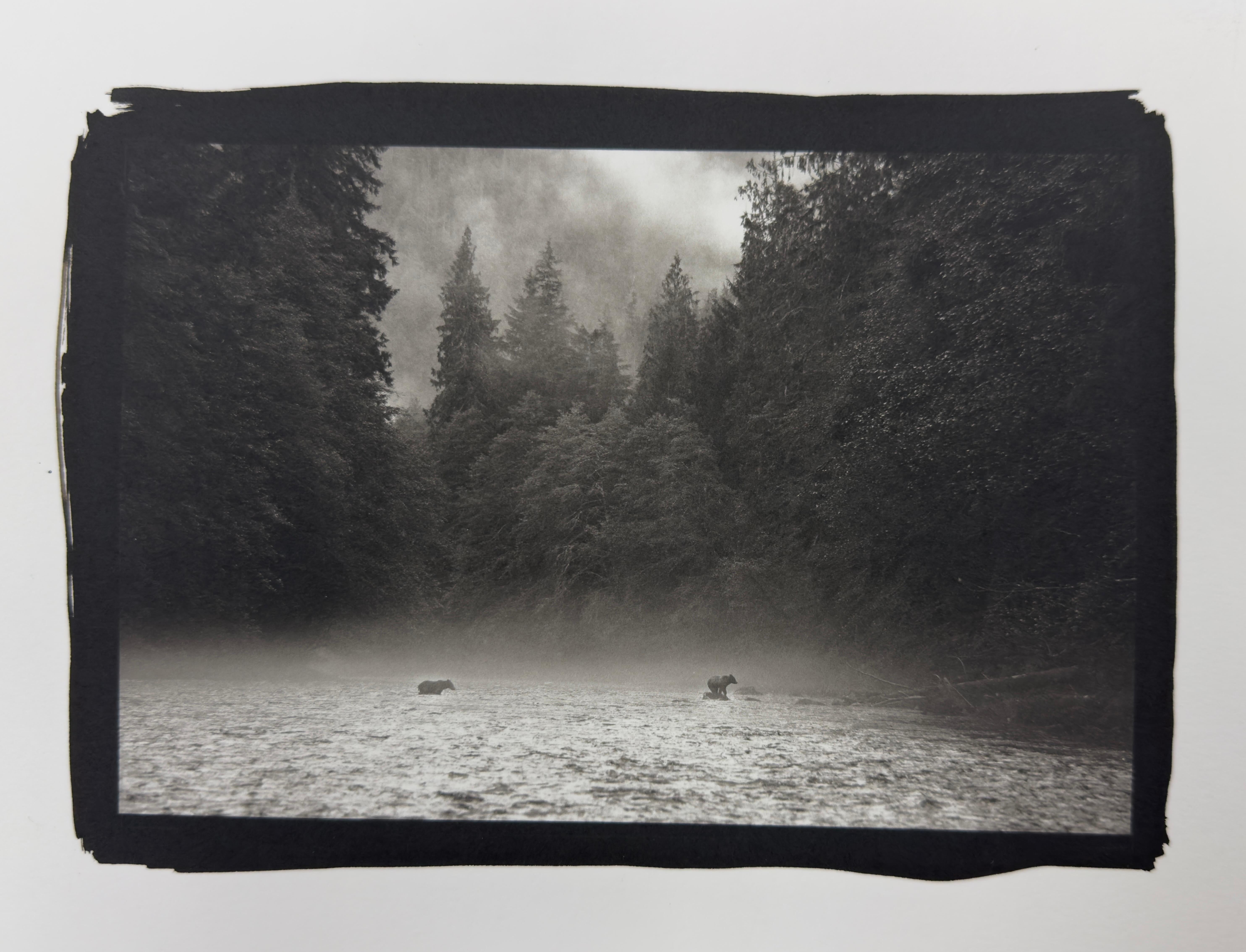 Plant Figurative Photography