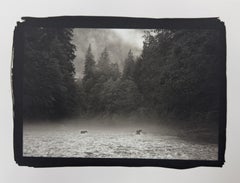 Bear Duet by Cristina Mittermeier - British Columbia, Canada - Platinum Print