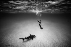 Encounter, Bahamas by Cristina Mittermeier