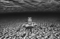 I See You Too, Bahamas  by Cristina Mittermeier