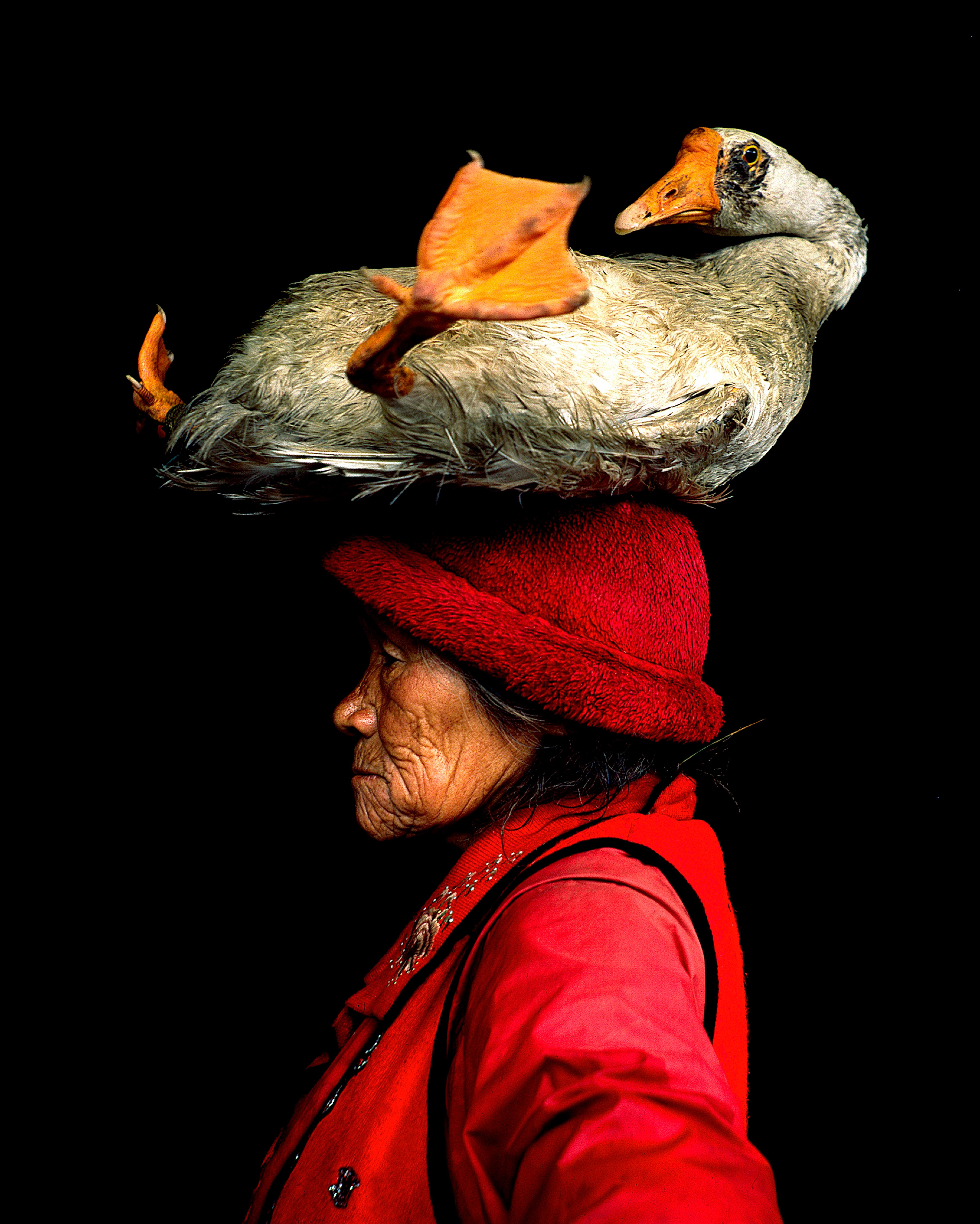 Cristina Mittermeier Color Photograph – Die Dame mit der Gänse II