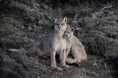 PS I Love You by Cristina Mittermeier