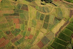 Arrozal I, Madagascar por Cristina Mittermeier