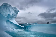 Solo-Siegel, Antarctica von Cristina Mittermeier