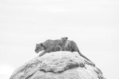 The Queen
s Rain by Cristina Mittermeier