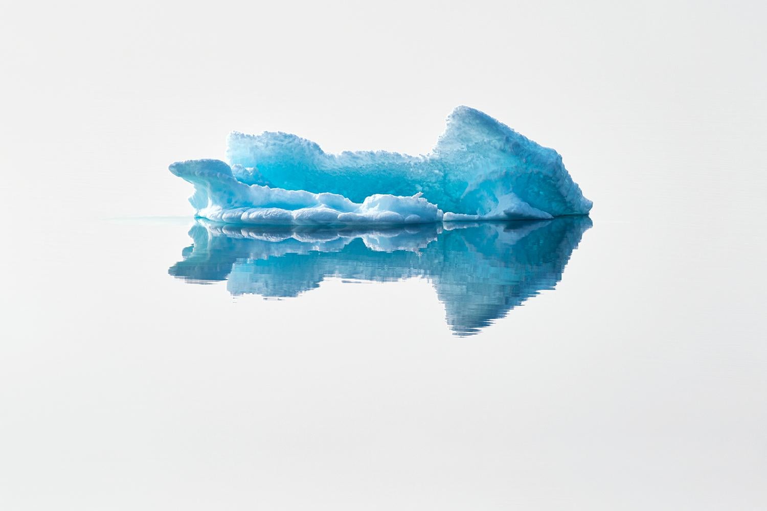 "Ingrávidos" 
Ártica canadiense, 2017

20 x 30 pulg. / Edición de 6 - $4.500

También disponible: 
32 x 48 pulg. / Edición de 6 - $7.500
40 x 60 pulg. / Edición de 6 - $10.500
50 x 75 pulg. / Edición de 6 - $15.500

Los precios indicados no incluyen