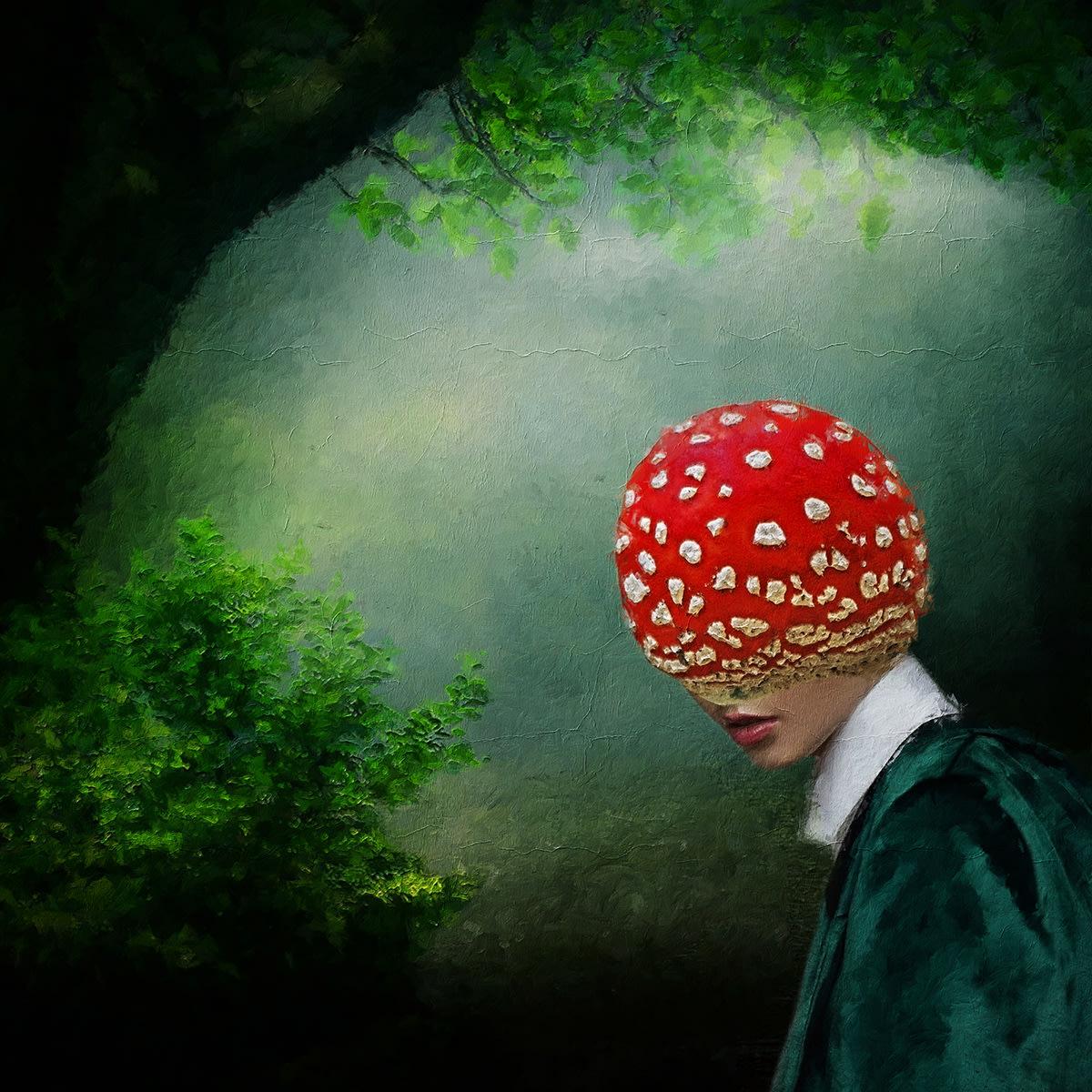 Cristina Schek Portrait Photograph - Pretty Fly For A Fungi In The Forrest