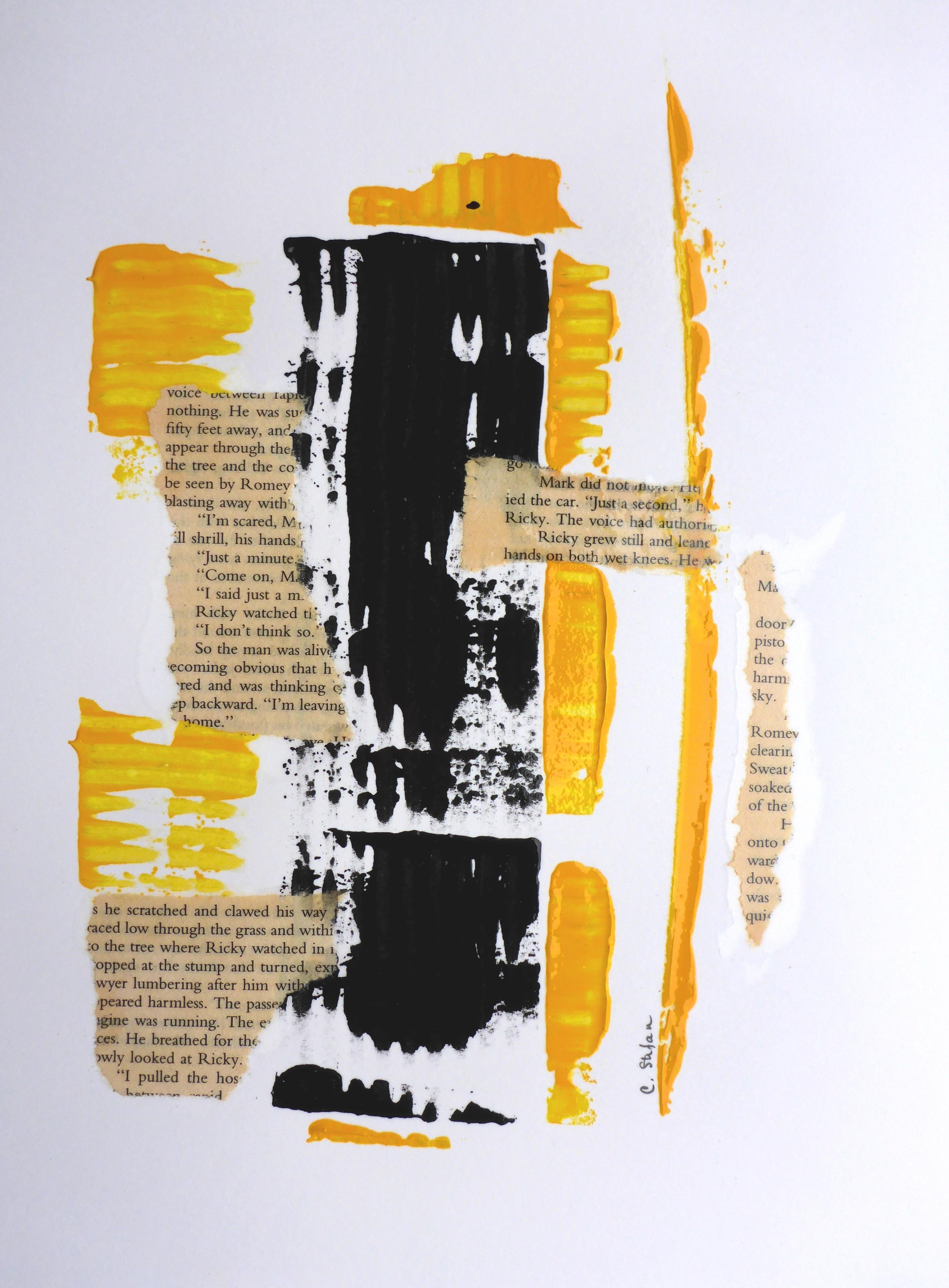 Harmless Errors, Mixed Media on Paper - Mixed Media Art by Cristina Stefan