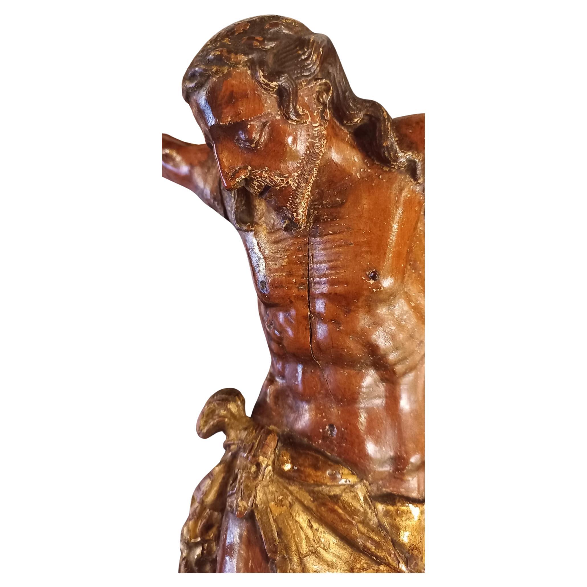 Christ Crucified in boxwood and golden loincloth For Sale